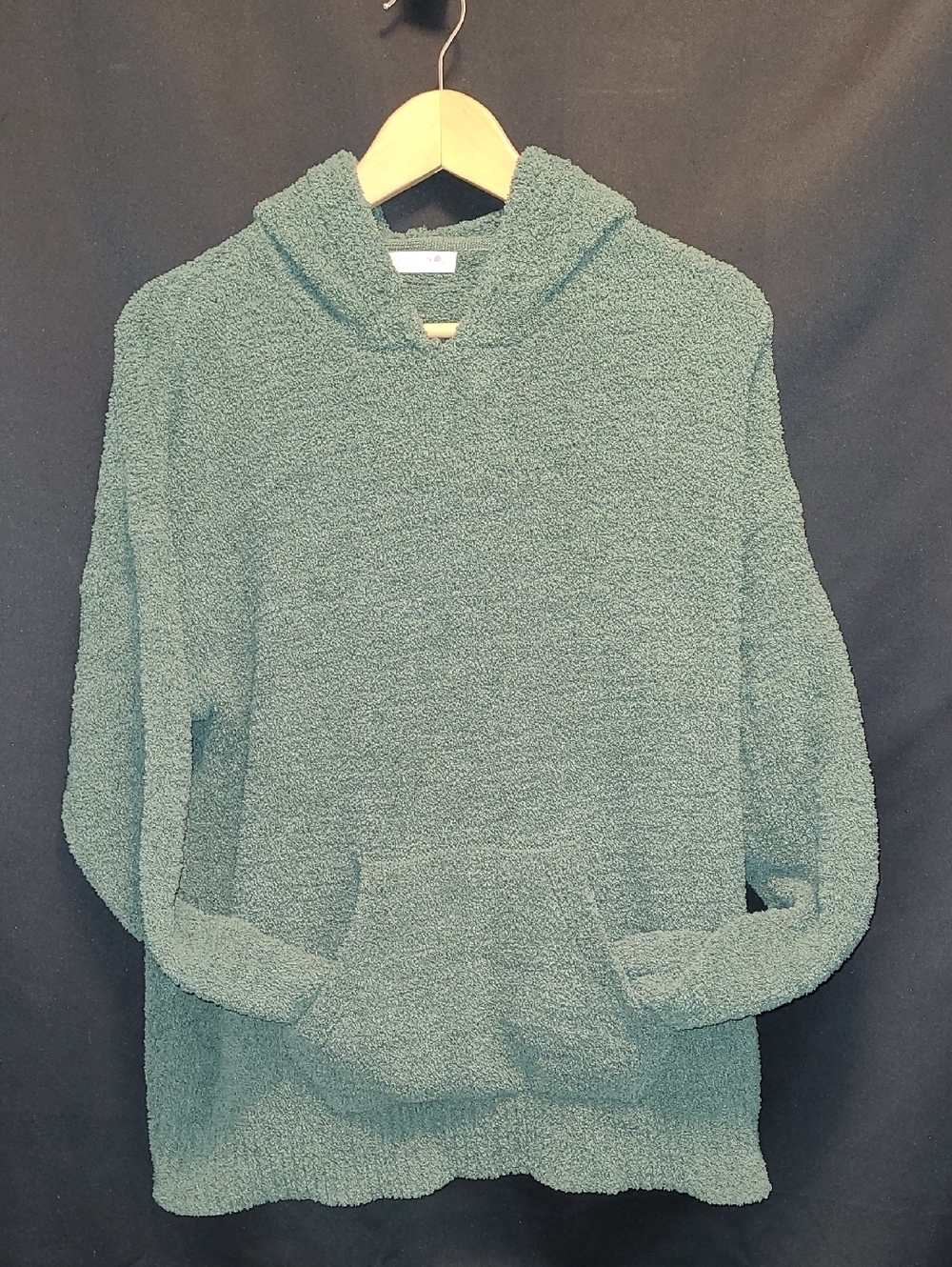 ROSE + VINE Cozy Hooded Pullover Sweater in Teal Green Size Medium
